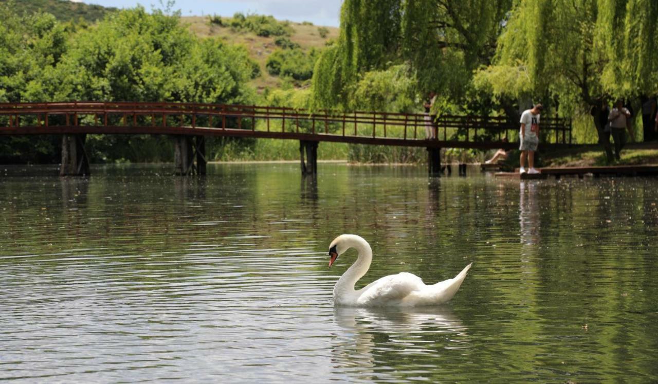 British Hotel Pogradec Eksteriør billede